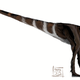 Illustration for article titled The truth about T. rex
